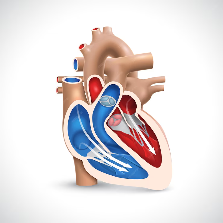 Valvular Heart Disease